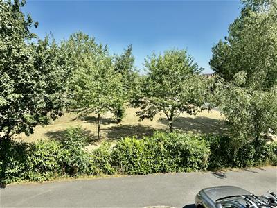 Picture 17